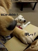 20141210_180131.jpg