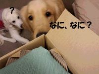 20141210_180245.jpg