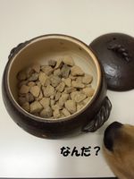 20141210_181336.jpg