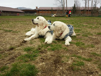 20150419_115457.jpg