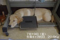 7月19日.jpg