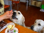 CIMG0365.jpg