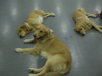 CIMG0439.jpg