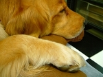 DSCF0050.jpg