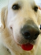 DSCF0079.jpg