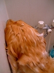 DSCF0183.jpg