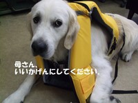 DSCF0507.jpg