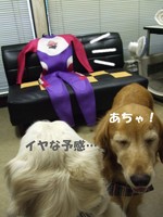 DSCF0521.jpg