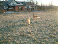 DSCF0592.jpg