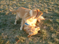 DSCF0597.jpg