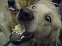 DSCF0739.jpg