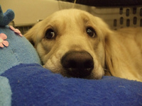 DSCF1029.jpg