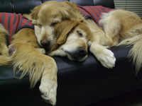 DSCF1408.jpg