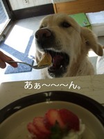 DSCF2572.jpg