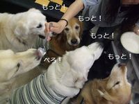 DSCF2590.jpg