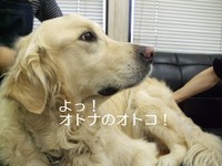 DSCF2604.jpg