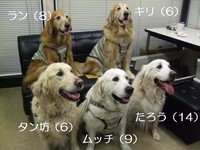 DSCF2622.jpg