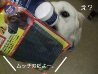 DSCF3023.jpg