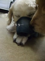 DSCF3043.jpg