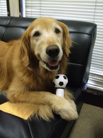 DSCF3270.jpg