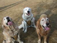 DSCF4006.jpg