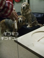 DSCF4280.jpg