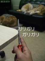 DSCF4284.jpg
