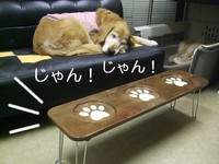 DSCF4379.jpg