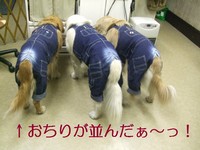 DSCF4407.jpg