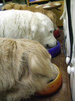 DSCF4410.jpg