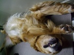 DSCF4675.jpg