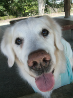 DSCF4793.jpg