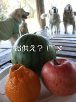 DSCF4804.jpg