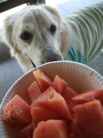 DSCF4815.jpg