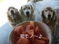 DSCF4817.jpg