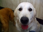 DSCF4823.jpg