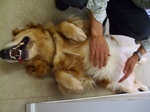 DSCF4834.jpg