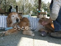 DSCF4849.jpg