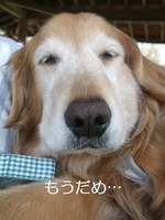 DSCF4853.jpg