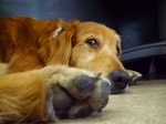 DSCF4853.jpg