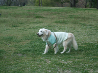 DSCF4856.jpg
