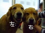 DSCF4856.jpg