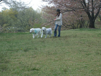 DSCF4866.jpg