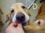 DSCF4874.jpg