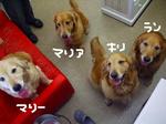 DSCF4880.jpg