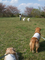 DSCF4882.jpg