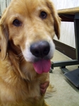 DSCF4896.jpg