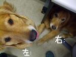 DSCF4902.jpg