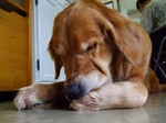 DSCF4913.jpg