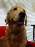 DSCF4917.jpg